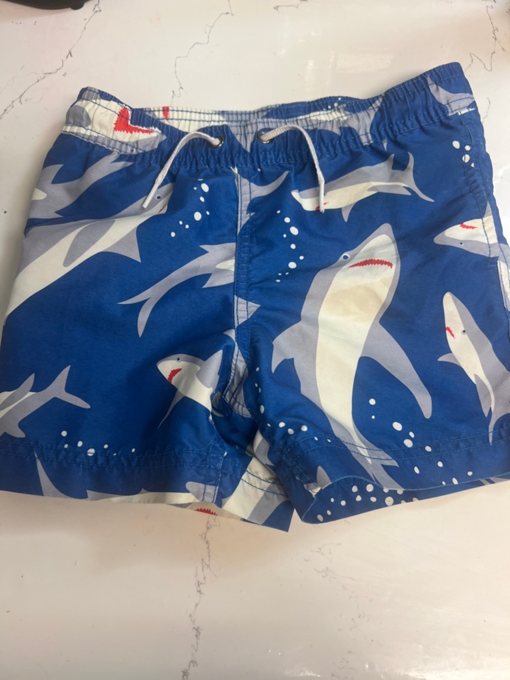Hanna Andersson Blue Shark Swim Trunks